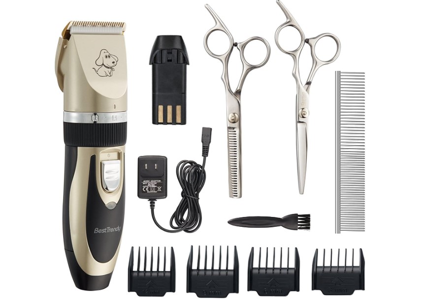 Best Clippers for Poodles