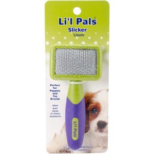 Best Brush For Standard Poodle