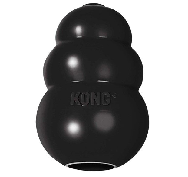 KONG Extreme Dog Toy