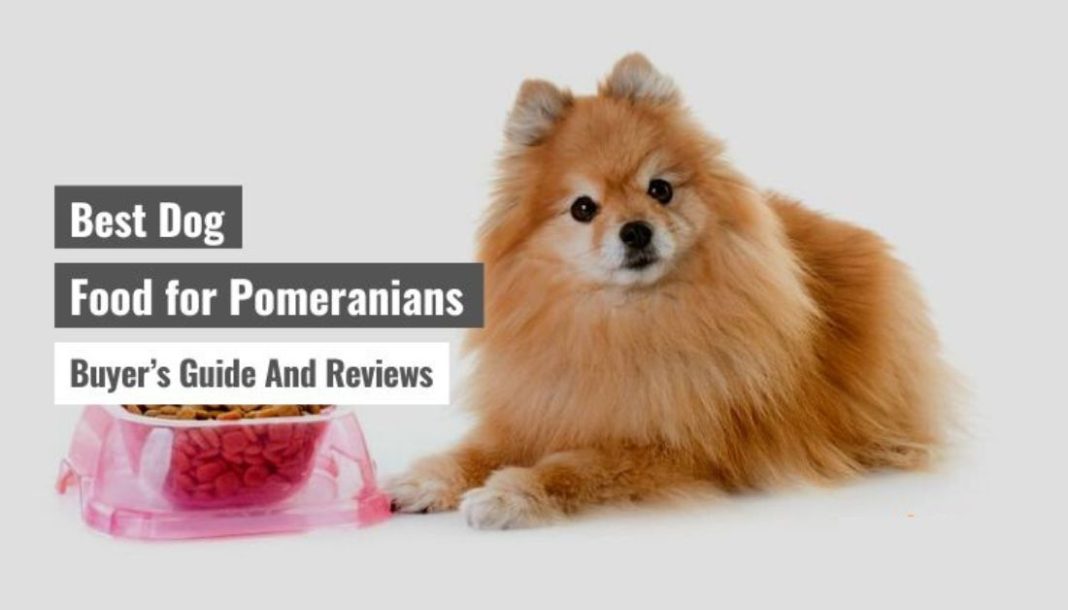 Best Dog Food for Pomeranians