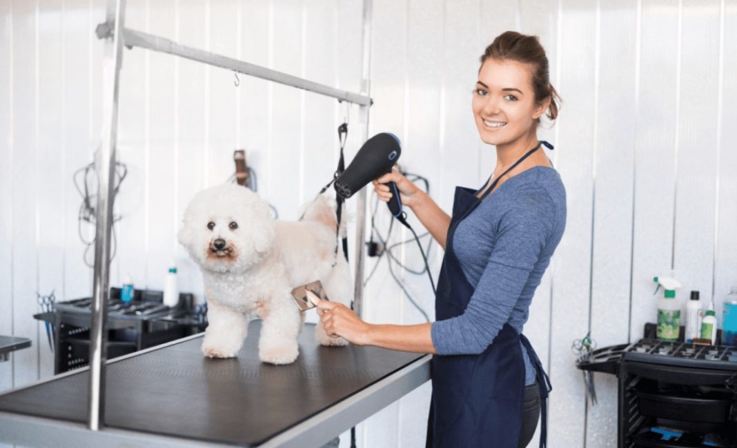 How Long Does It Take To Groom A Dog