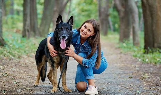 German Shepherd Dog Breed Care