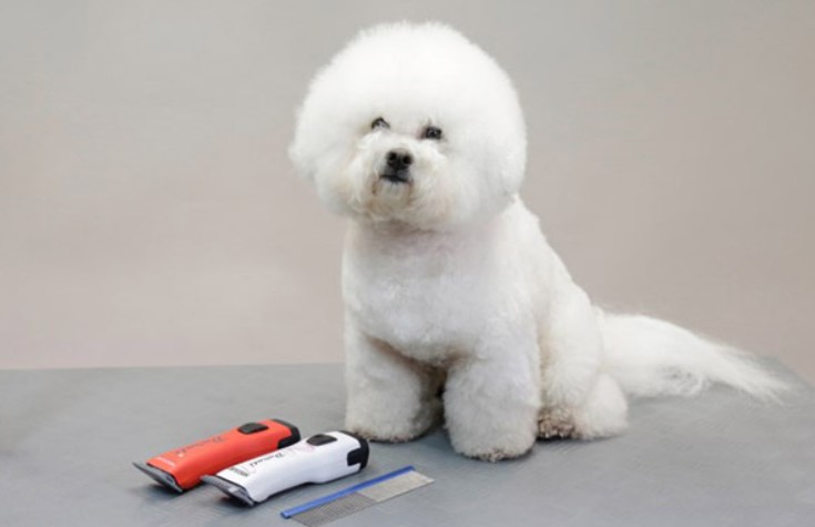 Best Dog Clippers for Bichon Frise