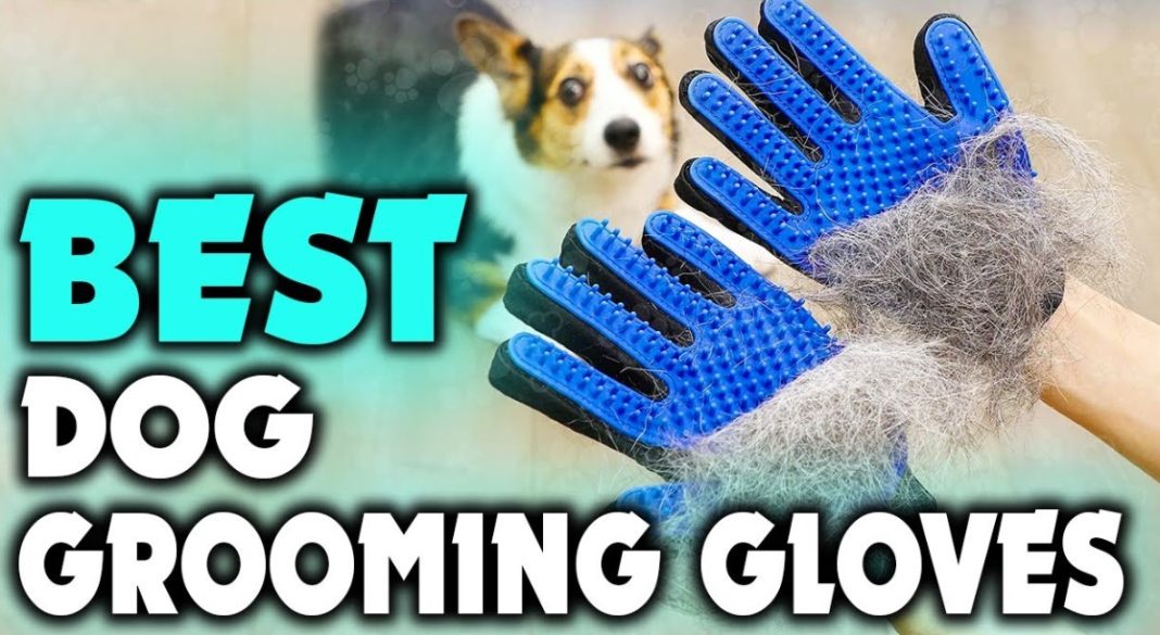 Best Dog Grooming Glove