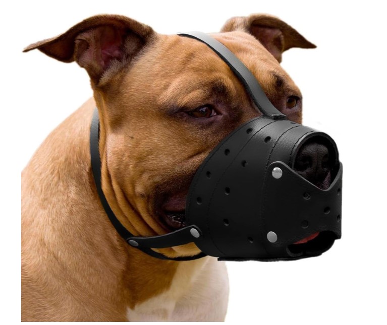 Collardireck Pitbull Terrier Secure Basket Dog Muzzle