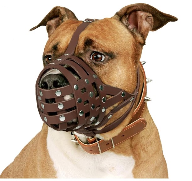 Collardirect Pitbull Dog Muzzle