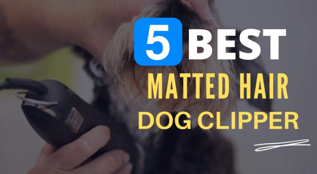 Best Dog Clippers For Matted Hair