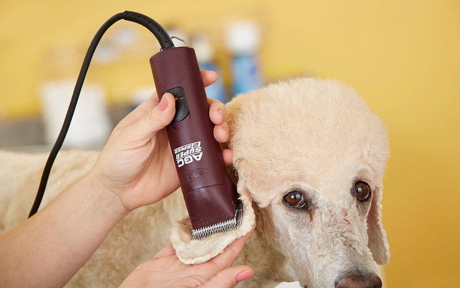 Best Dog Clippers for Thick Coats