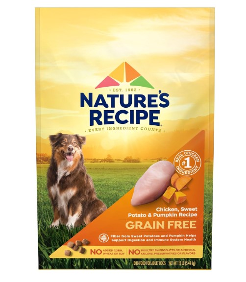 Best Dog Food For Poodles