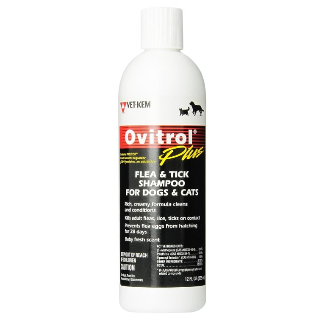 Best Dog Shampoo For Fleas And Ticks