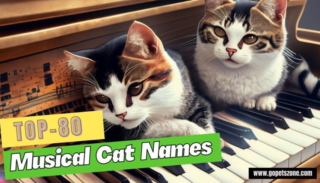 Musical Cat Names