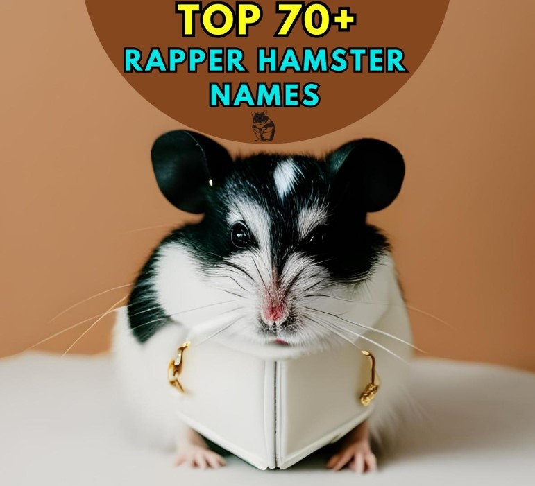 Rapper Hamster Names