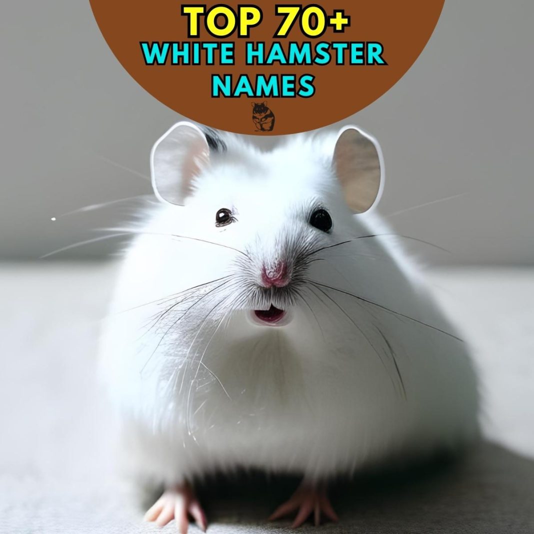 White Hamster Names