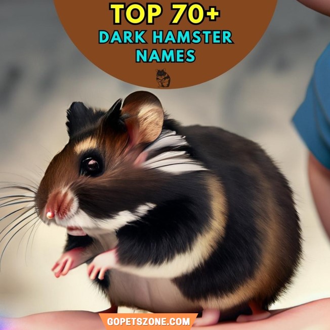 Dark Hamster Names