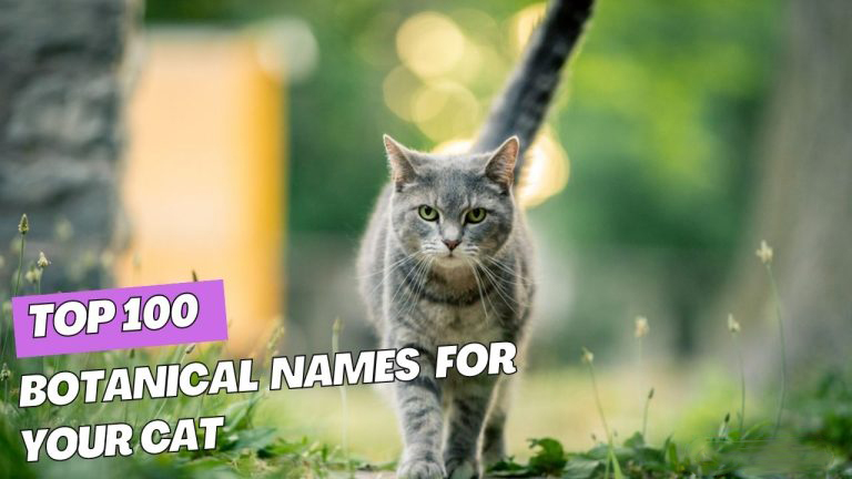 Botanical Cat Names