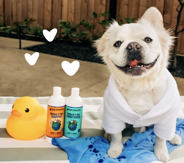 Best Dog Shampoo For Itching Skin