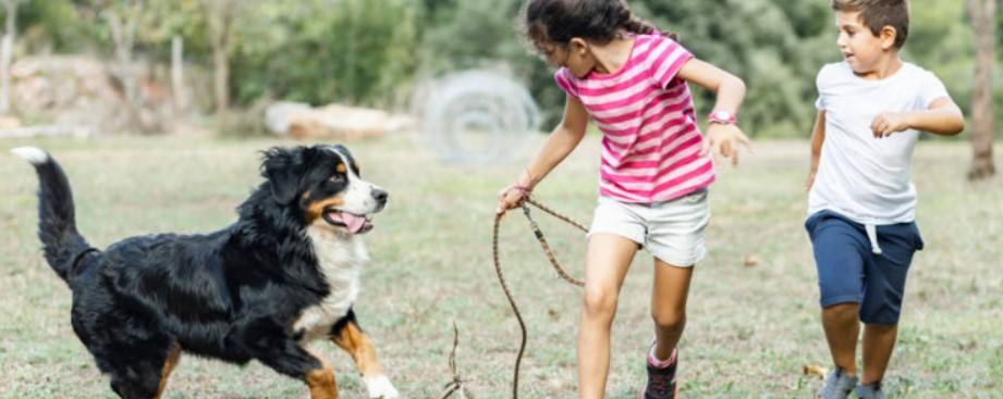 Children’s Behavior with Dogs