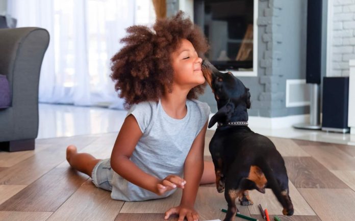 How to Train Your Dog for Calm and Safe Play with Kids