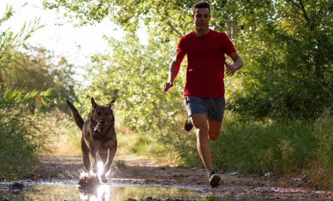 Running with German Shepherds