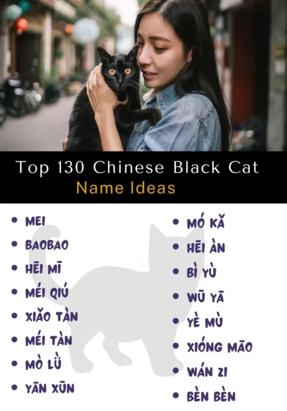 Chinese black Cat Names