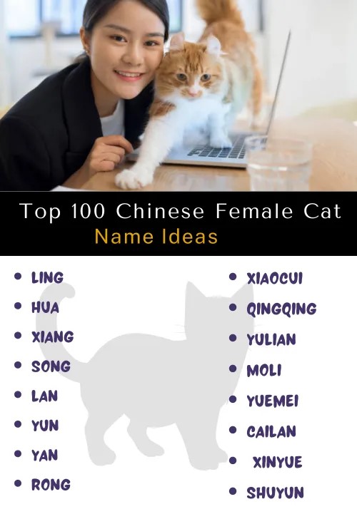 Chinese Female Cat Names