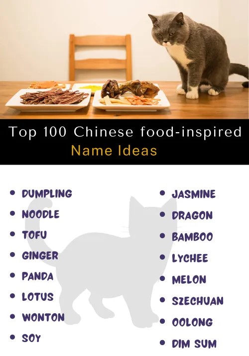 Chinese Food Inspired Cat Names 