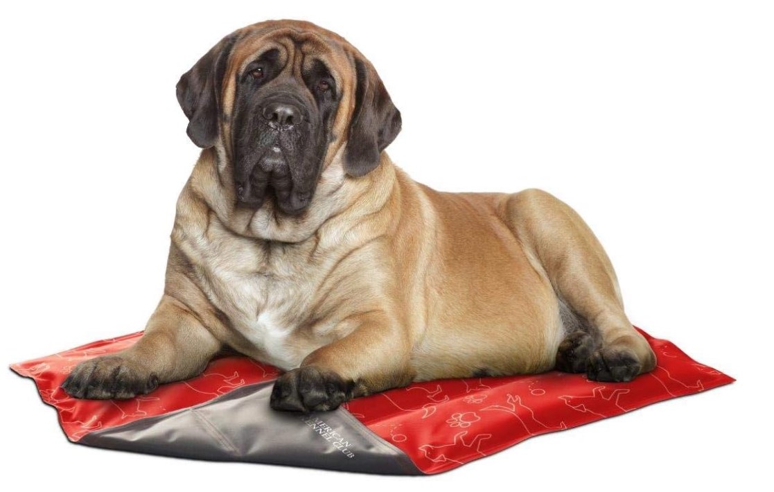 Best Cooling Mats for Dogs