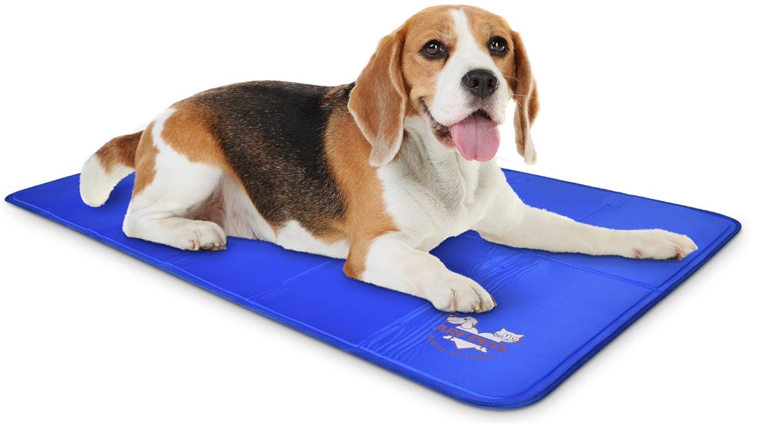 Best Cooling Mats for Dogs