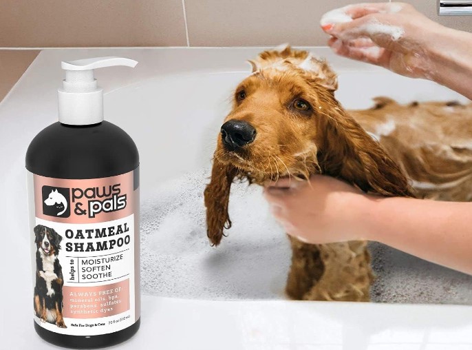 Best Dog Shampoos for Sensitive Skin