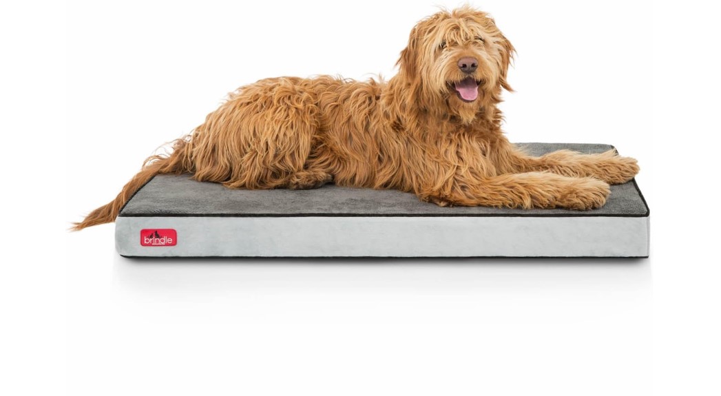 Best Dog Beds for Goldendoodles