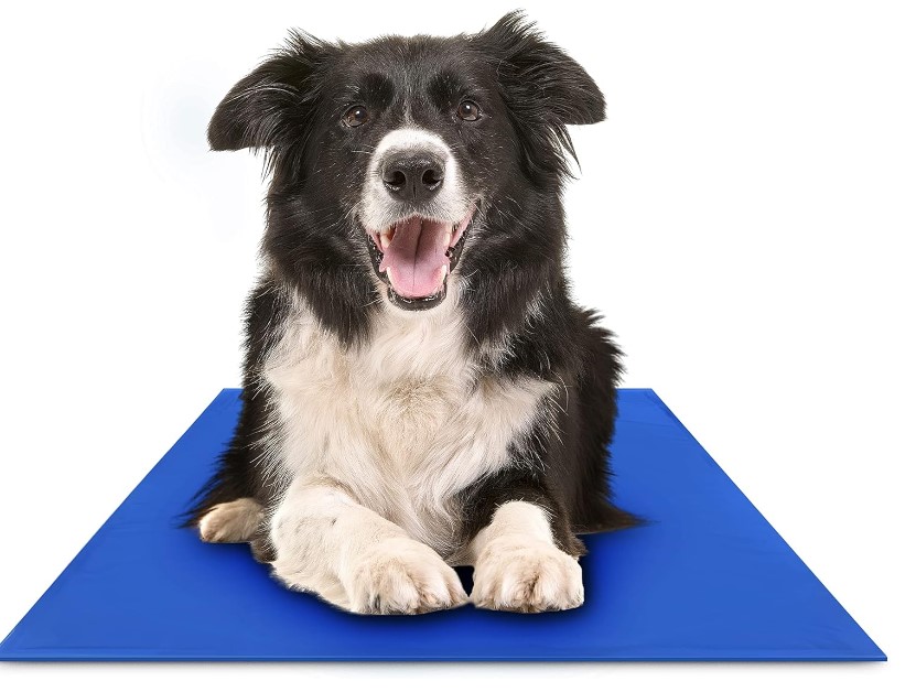 Best Cooling Mats for Dogs