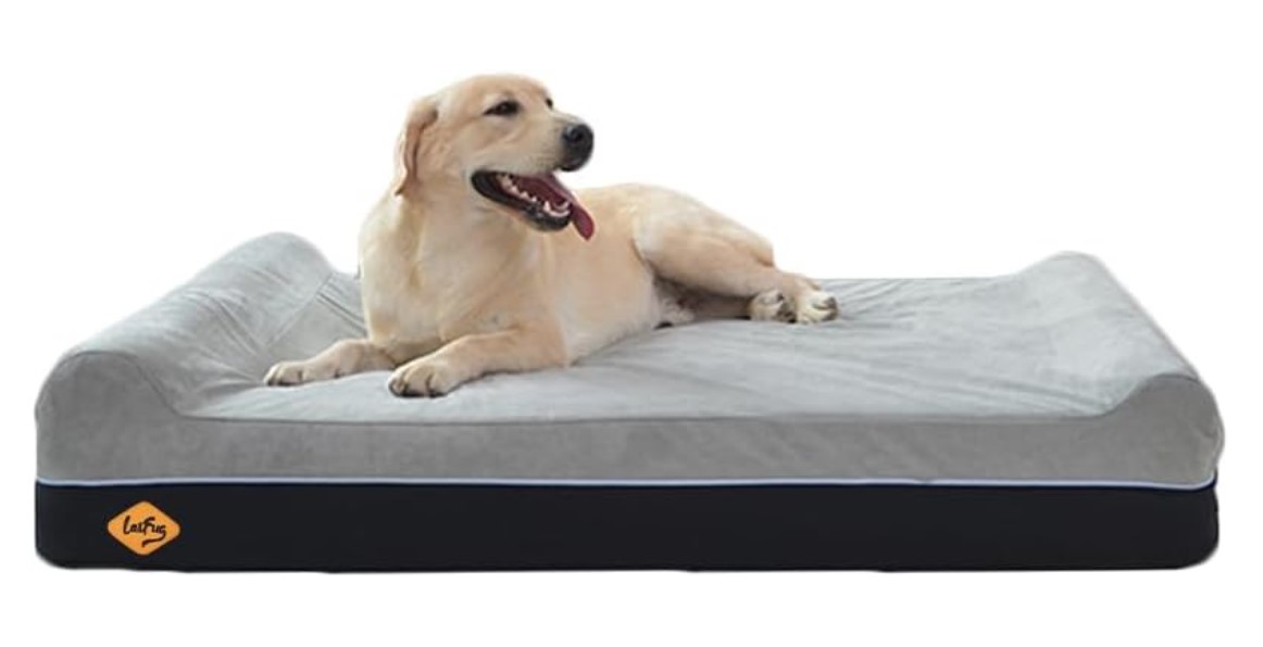 Best Dog Beds for Goldendoodles