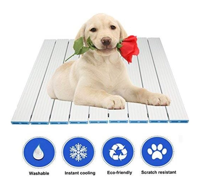 Best Cooling Mats for Dogs