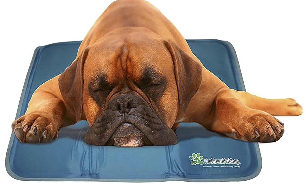 Best Cooling Mats for Dogs