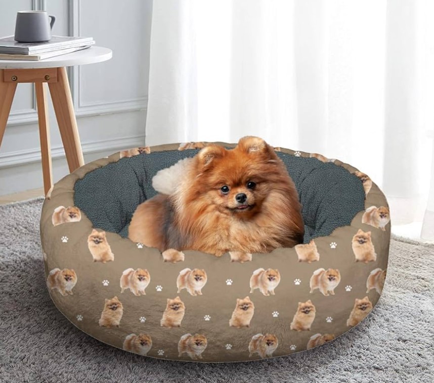 Best Dog Beds for Pomeranians