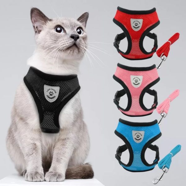 Cat Body Harness and Leash